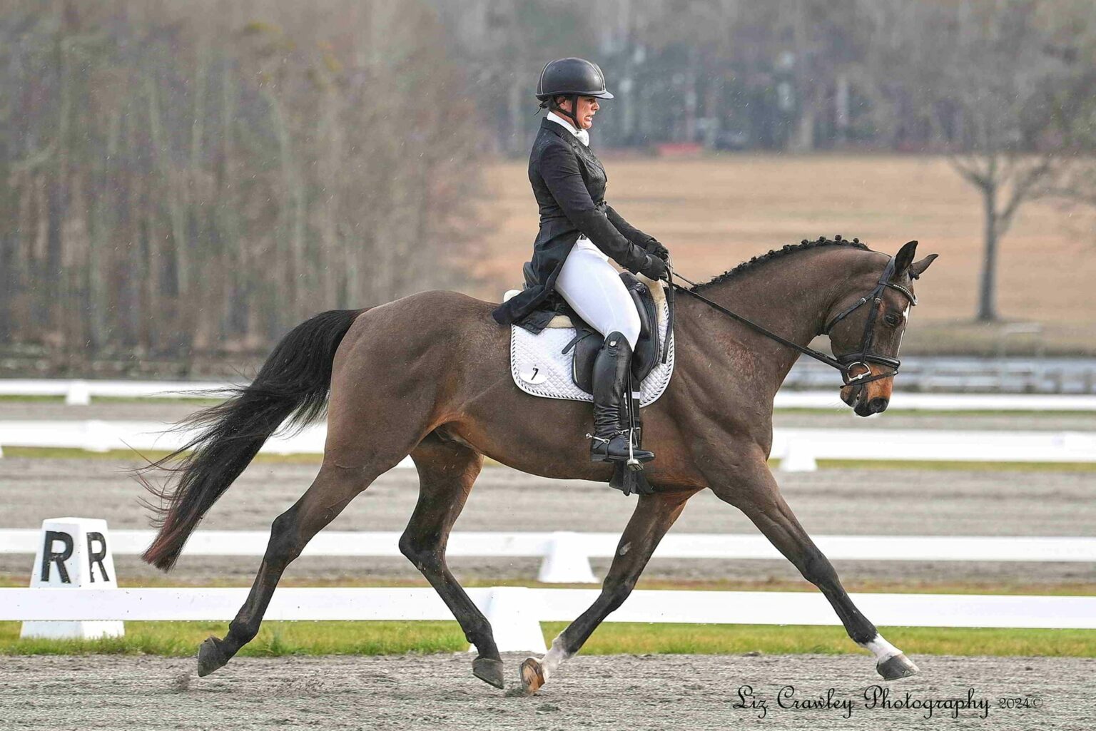 Schooling Dressage Shows 2025 Valinor Farm